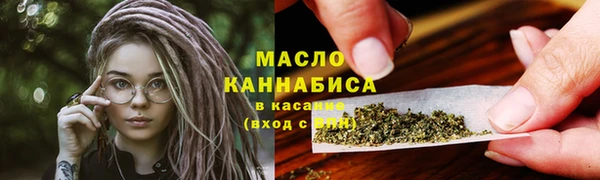 гашик Новодвинск