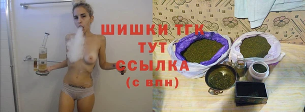 мет Новозыбков