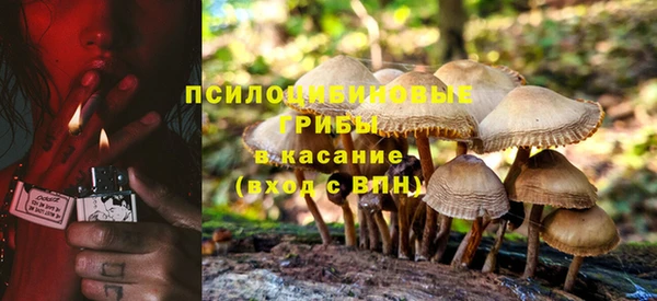 ALPHA-PVP Няндома